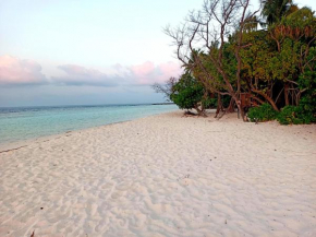 Dhoadhi Beach Inn